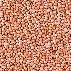 Image showing Peanut seamless background.