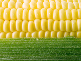 Image showing Corn.