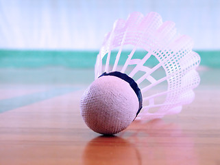 Image showing Shuttlecock on the floor