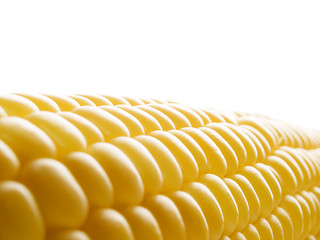 Image showing Corn.