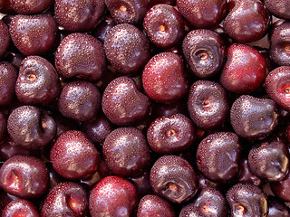 Image showing Cherry.