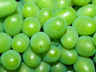 Image showing Grapes.