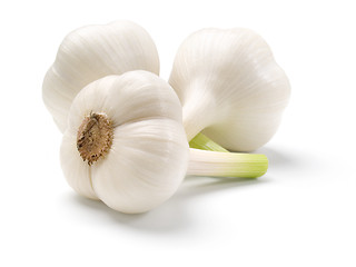 Image showing Garlic.