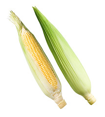 Image showing Corn.