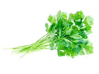 Image showing Parsley.