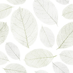 Image showing Dried leafs seamless background.