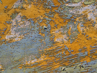 Image showing Abstract scratching texture closeup background.