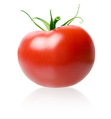 Image showing Tomato.