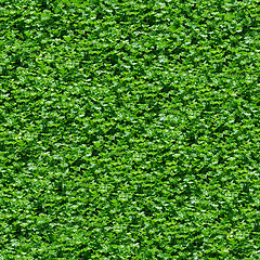 Image showing Seamless green grass pattern.