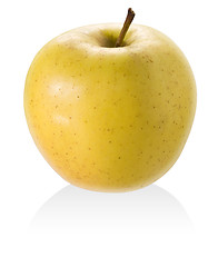 Image showing Yellow apple.