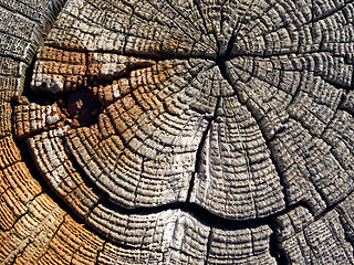 Image showing Old wood.