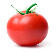 Image showing Tomato.