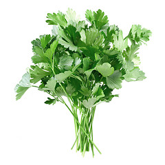 Image showing Parsley.