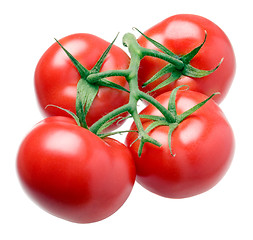 Image showing Tomato.