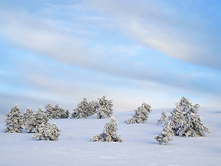 Image showing Winter.