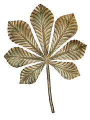 Image showing Bronze chestnut leaf. 