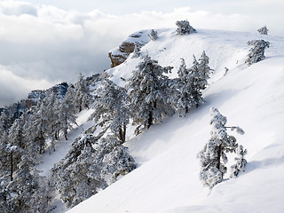 Image showing Winter.