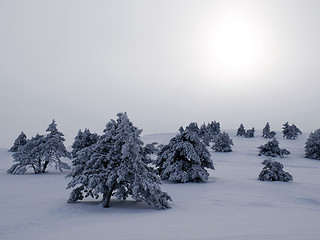 Image showing Winter.