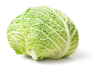 Image showing Cabbage.