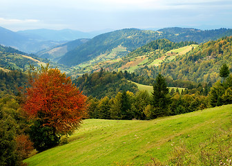 Image showing Ukrainian landscape.