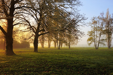 Image showing Spring sunrise