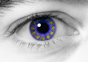 Image showing european eye