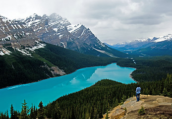 Image showing Peyto lake at spring