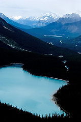 Image showing Peyto lake