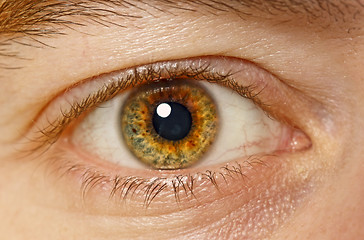 Image showing eye closeup
