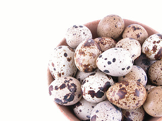 Image showing bowl of quail eggs