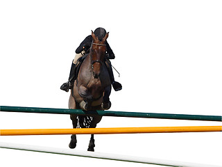 Image showing Horse and Rider over a Jump