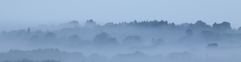 Image showing Misty Morning banner background