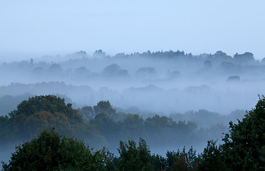 Image showing Morning Mist
