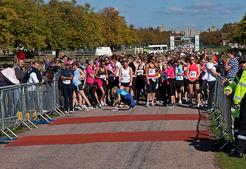 Image showing Runners waiting to start Windsor run