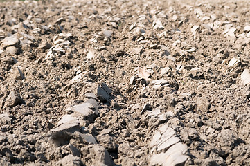 Image showing Cultivated Field Background