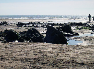 Image showing Sunset on shore