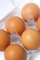 Image showing Box of eggs