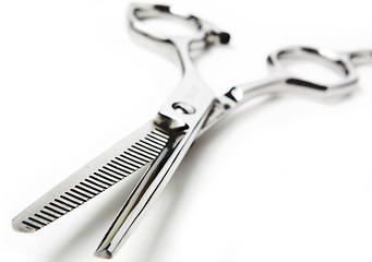 Image showing Professional Haircutting Scissors. Studio isolation on white. 