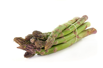 Image showing Green Asparagus