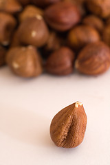 Image showing Filbert nuts