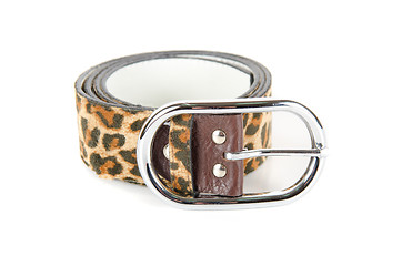 Image showing leopard belt