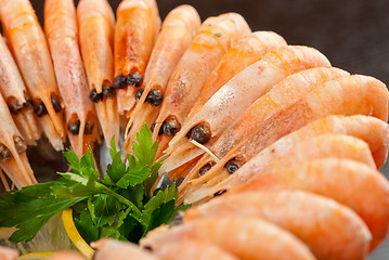 Image showing shrimps with lemon