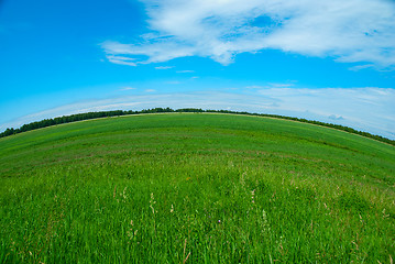 Image showing nature background