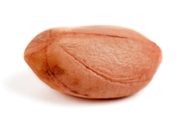 Image showing one raw peanut