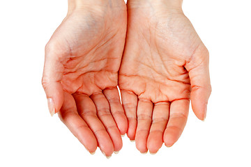 Image showing two female hands