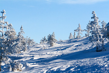 Image showing winter landscape