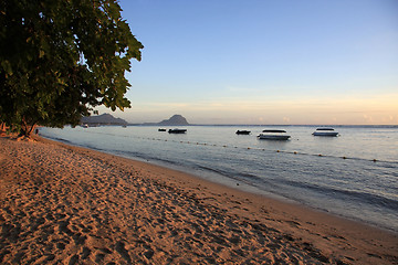 Image showing Beach in Mauritius 