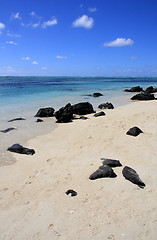 Image showing Mauritius beach
