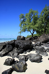 Image showing Mauritius landscape