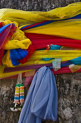 Image showing Bodhi tree